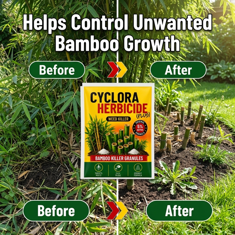 Cyclora versatility