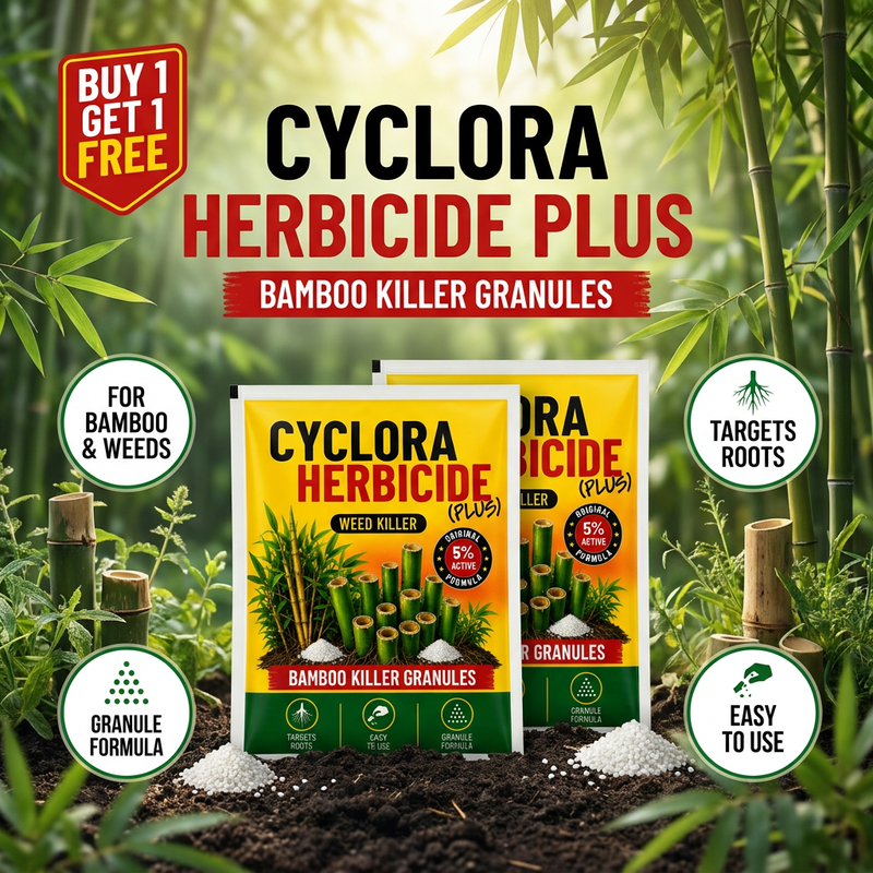 Cyclora Pack